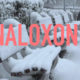 Naloxone availability